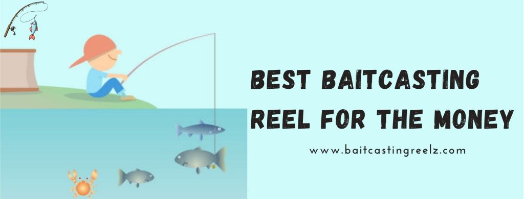 Best Baitcasting Reel For The Money 2024 Best Budget Reel