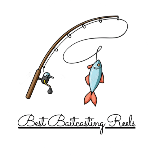 Top 13 Best Baitcasters For 2024 – Expertly Tested & Reviewed