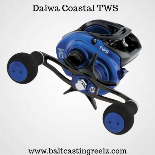 Daiwa Coastal TWS - best baitcasting reel for saltwater