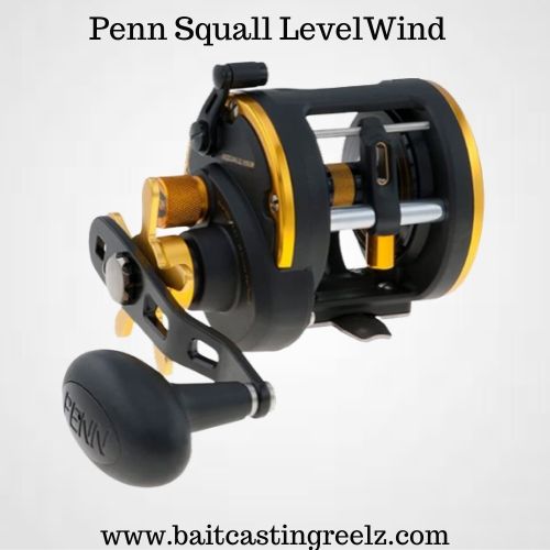 7 Best Saltwater Baitcasting Reels [2024 Top Picks]