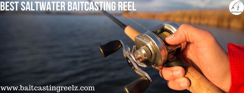 best saltwater baitcasting reel