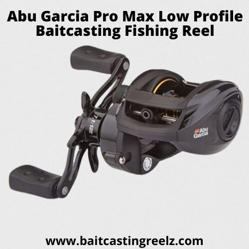 Abu Garcia Pro Max Low Profile Baitcasting Fishing Reel - best for beginners