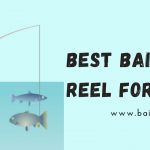 Best Baitcasting Reel For the Money 2023 - [Best For The Price]