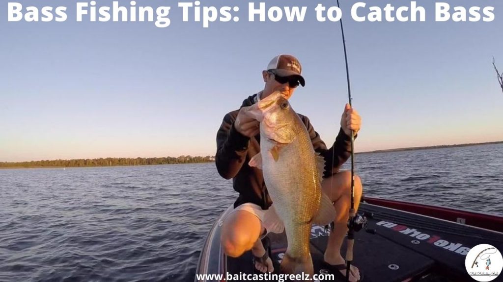 Bass Fishing Tips: How to catch a bass | Bass Fishing