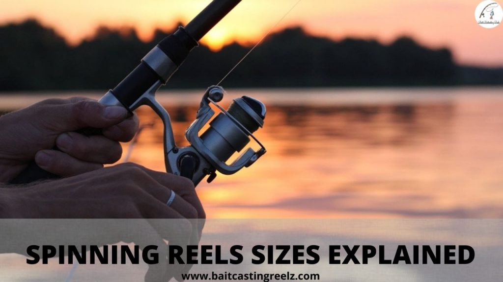 Spinning Reel Sizes How To Choose The Right Reel Size Guide