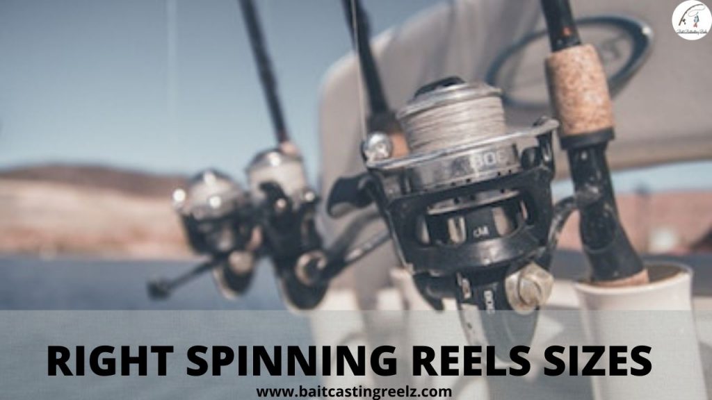 Spinning Reel Sizes - [How To Choose The Right Reel Size] * 2023 Guide