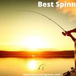 Best Spinning Reel 2023 - Tested & Tried Reviews & Buying Guide