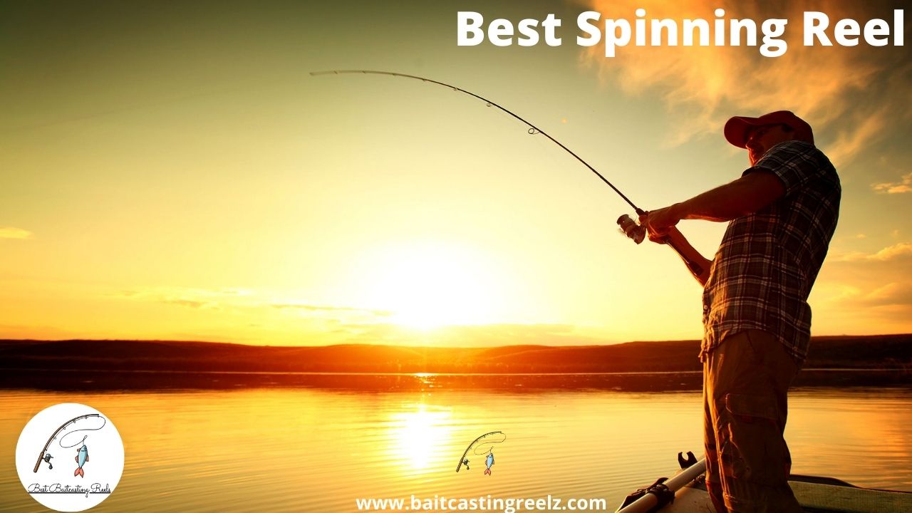 best spinning reel