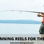 Best Spinning Reel For The Money (Affordable & Cheap Reels)