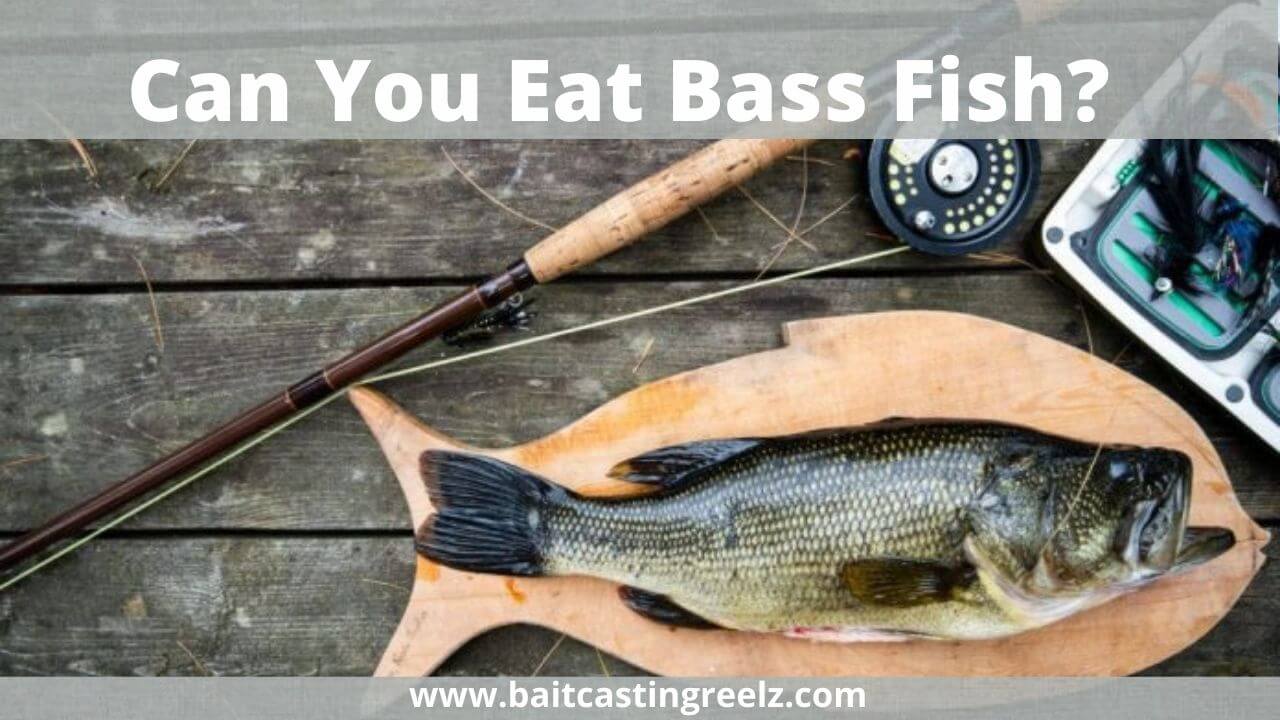 Can You Eat Bass Fish