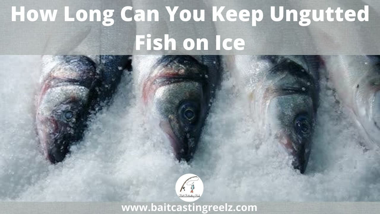 How Long Can You Keep Fish on Ice