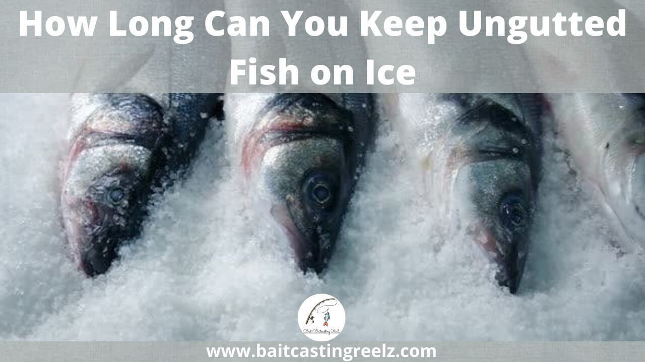 How Long Can You Keep Fish On Ice