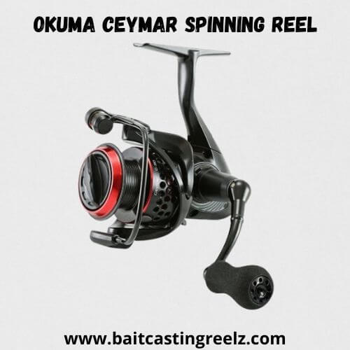 Okuma Ceymar Spinning Reel - best budget reel