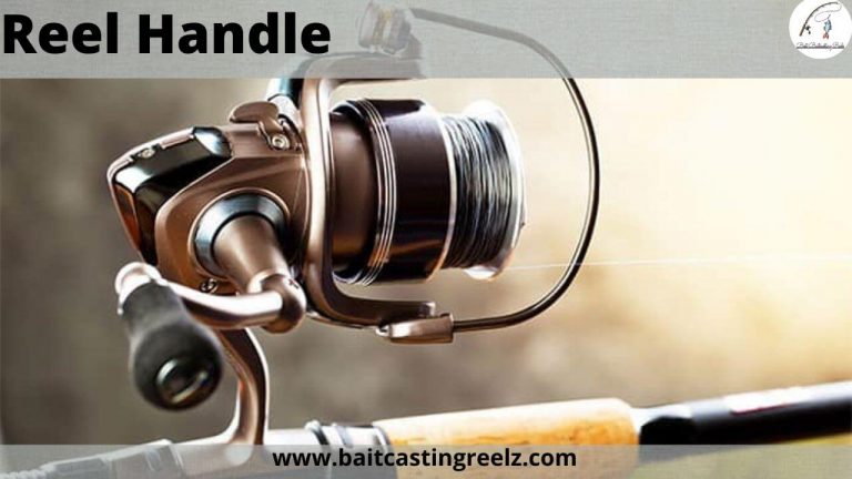 Spinning Reel Parts & What To Look For When Buying A Reel