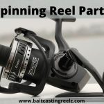 Parts Of Spinning Reel (Briefly Explained For Beginners)