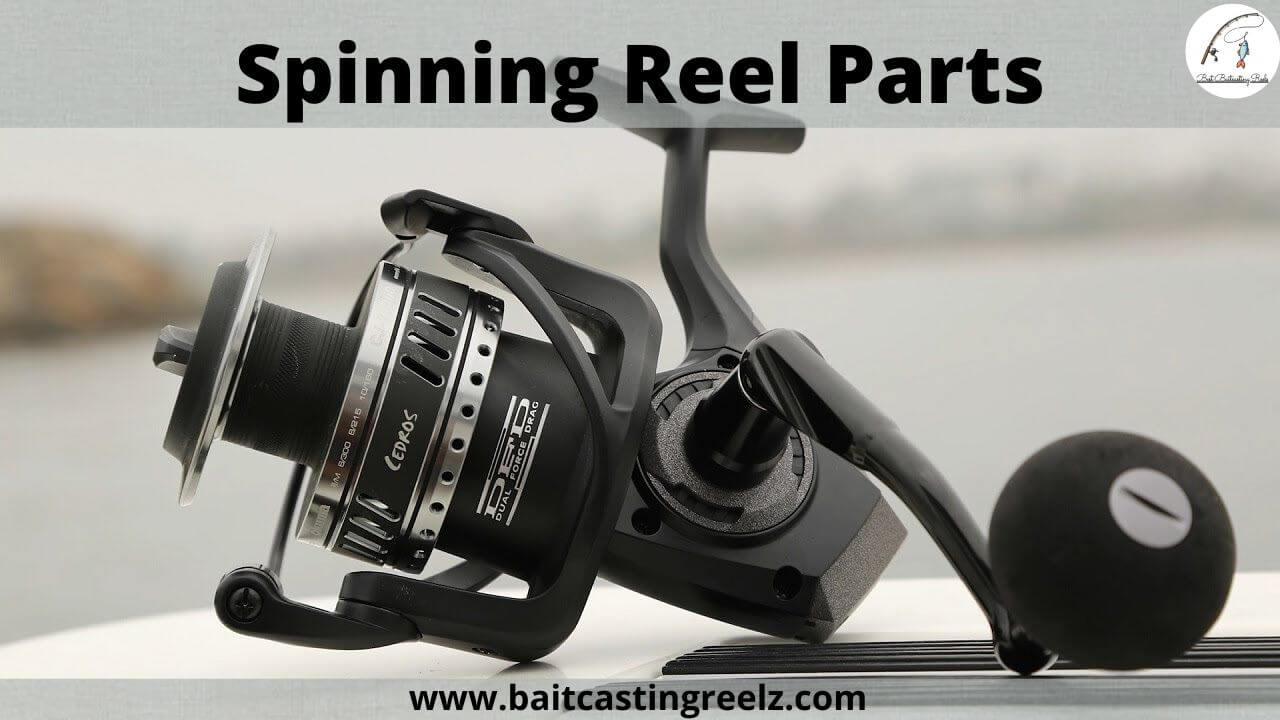 Parts Of Spinning Reel