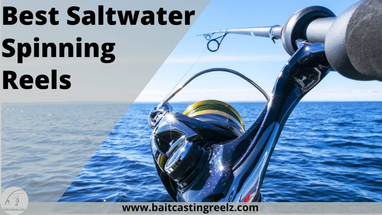 8 Best Saltwater Spinning Reels (Top Fishing Reels For Pier Fishing)