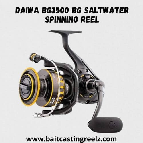 Daiwa BG3500 BG Saltwater Spinning Reel