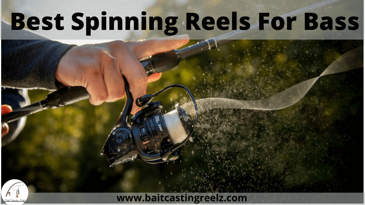 best spinning reel for bass