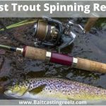 Best Trout Spinning Reels (Recommended For Beginners)
