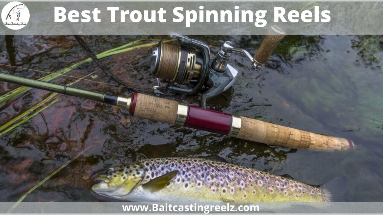 Best Trout Spinning Reels