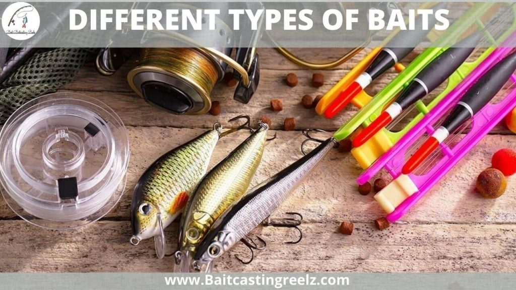 Different Types Of Baits (Most Common Fishing Lures)