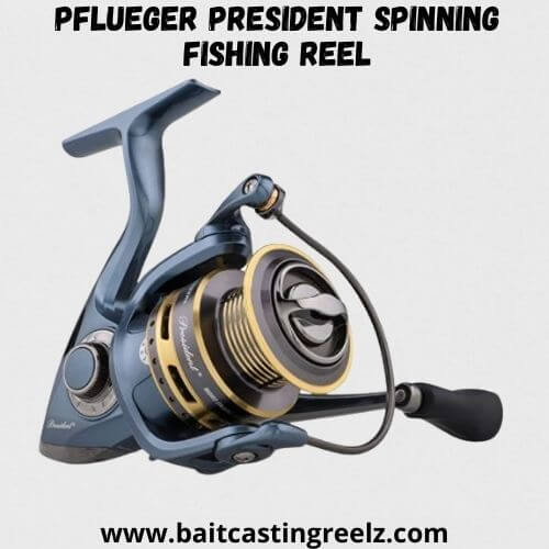 Pflueger President Spinning Fishing Reel
