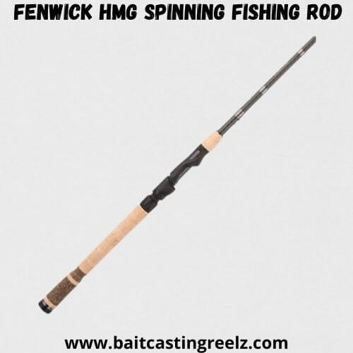 Fenwick HMG Spinning Fishing Rod