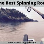 Best Spinning Rods For Beginners 2023 - [Suitable For Catching Bass]