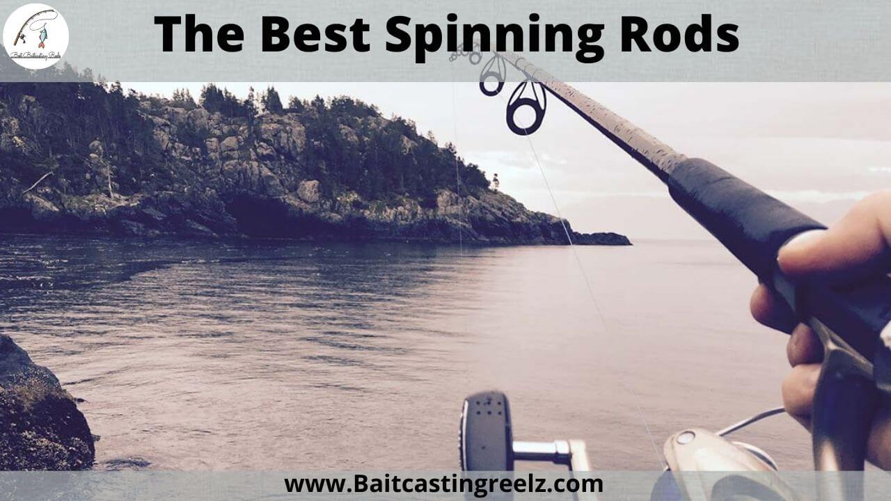 The best spinning rods