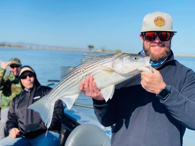 how to catch stripped bass in spring