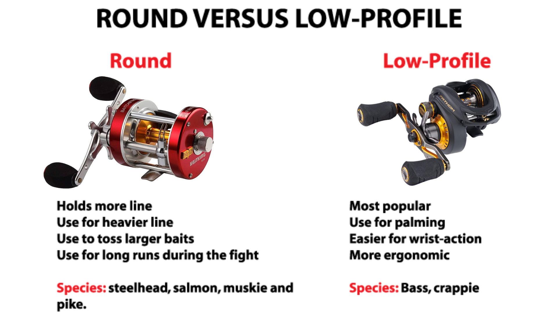 Round vs Low Profile Baitcasters